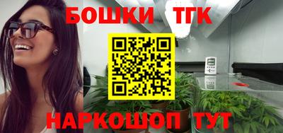 МДПВ Татарск